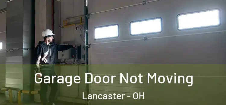  Garage Door Not Moving Lancaster - OH